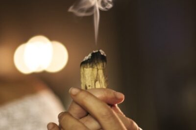 Palo Santo: tudo sobre esse incenso sagrado