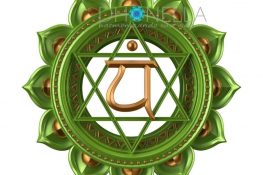 Chakra Cardíaco