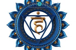 Chakra Laríngeo e Frontal