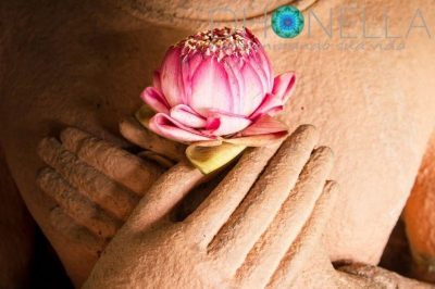 Floral para Equilíbrio Emocional