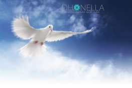 Pomba da Paz: O que ela representa na nossa vida