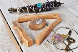 Serpente do Fogo e Dragão de Fogo