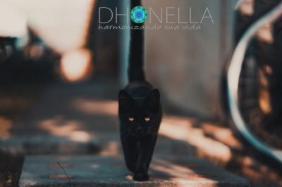 As superstições mais estranhas em todo o mundo