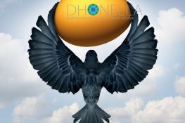 Como você atrai abundância e riqueza para a sua vida