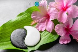 Descubra qual Karma foi dado a você no nascimento