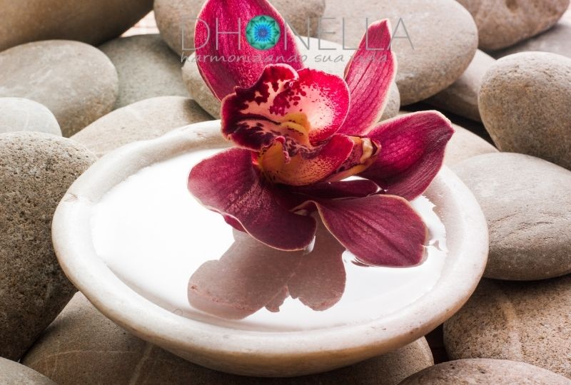 Feng Shui no banheiro e escritório