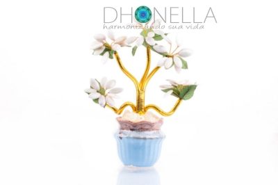 Plantas que trazem sorte