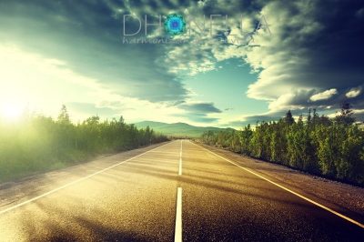 A estrada para o sucesso