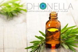 Algumas maneiras de usar o óleo da árvore do chá (Tea tree)