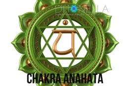 Como equilibramos nosso chakra cardíaco?