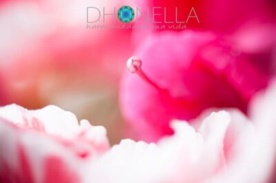 O que é sexo espiritual?