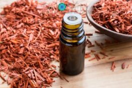 10 benefícios do óleo essencial de sândalo