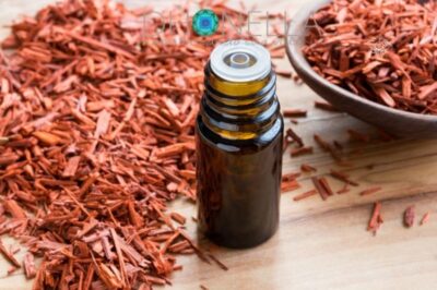 10 benefícios do óleo essencial de sândalo