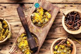 10 razões para acreditar mais na fitoterapia