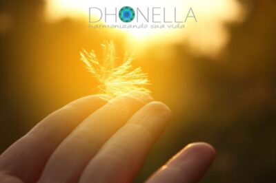 A fascinante história de um menino que se lembra de tudo de sua vida passada