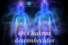A Pluralidade dos Chakras: existem mais do que apenas 7