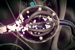 Ativação da Glândula Pineal