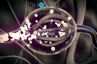 Ativação da Glândula Pineal