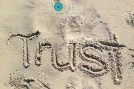 Outono de genciana, a planta que oferece confiança