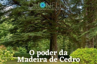 Energia positiva da madeira de cedro