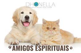 Cães e gatos podem curar doenças e neutralizar a energia negativa de seus donos!