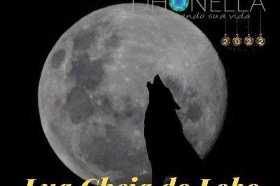 Como a Lua Cheia do Lobo Afeta os Signos do Zodíaco!