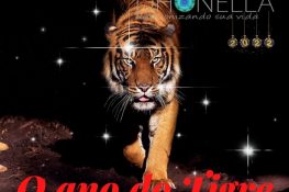 Ano Chinês do Tigre Aquático