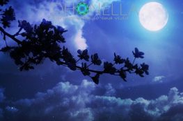 Oração da noite. Não vá para a cama sem dizer isso!