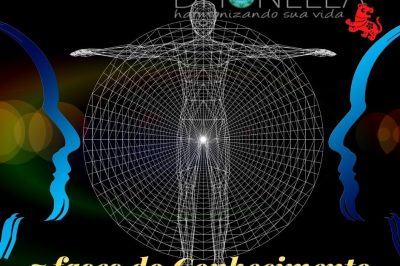 As 7 fases do conhecimento