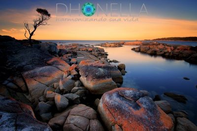 A religião dos tasmanianos