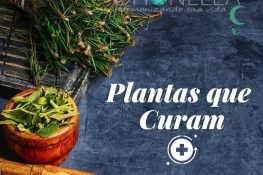Cinco plantas absolutamente necessárias para a cura do seu corpo e mente