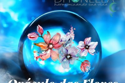 O ORÁCULO DAS FLORES: O que trazem as pétalas do destino