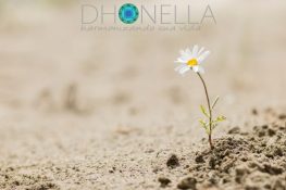 Quando o diamante interior brilha à vista