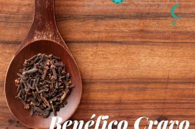 Benefícios do Cravo para sua saúde